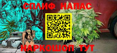 МДПВ Краснодар