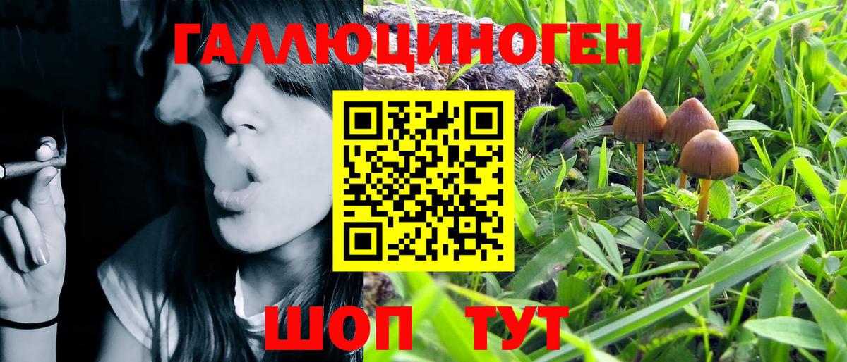 Галлюциногенные грибы GOLDEN TEACHER  Вход с VPN  Верхний Уфалей 
